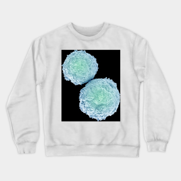 T-lymphocytes, illustration (C022/9849) Crewneck Sweatshirt by SciencePhoto